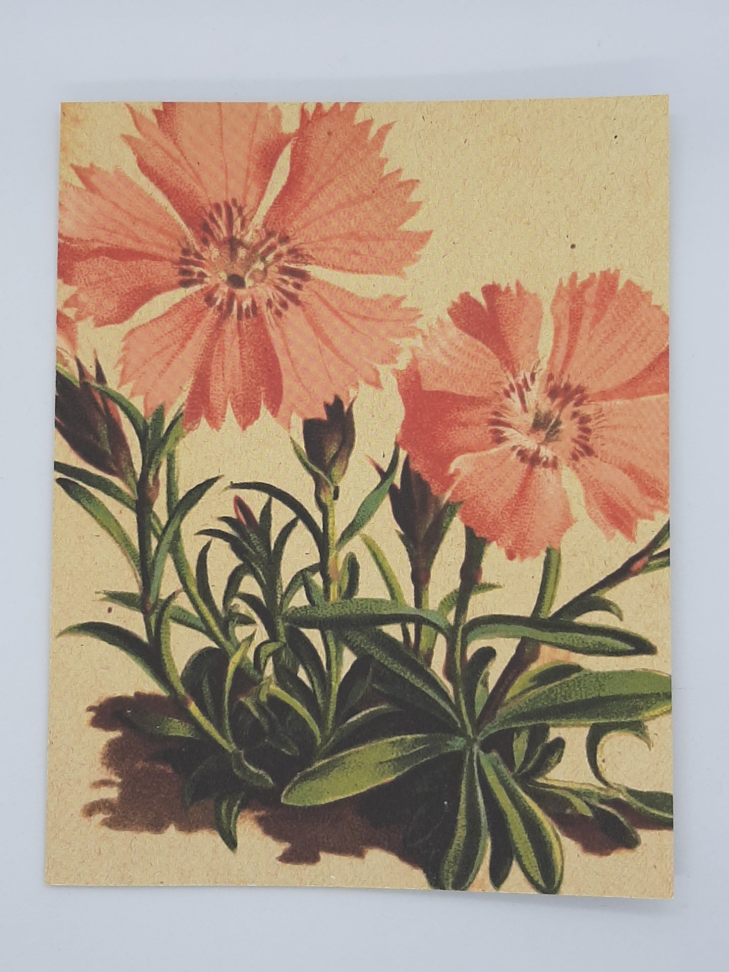 Love Is Patient Card