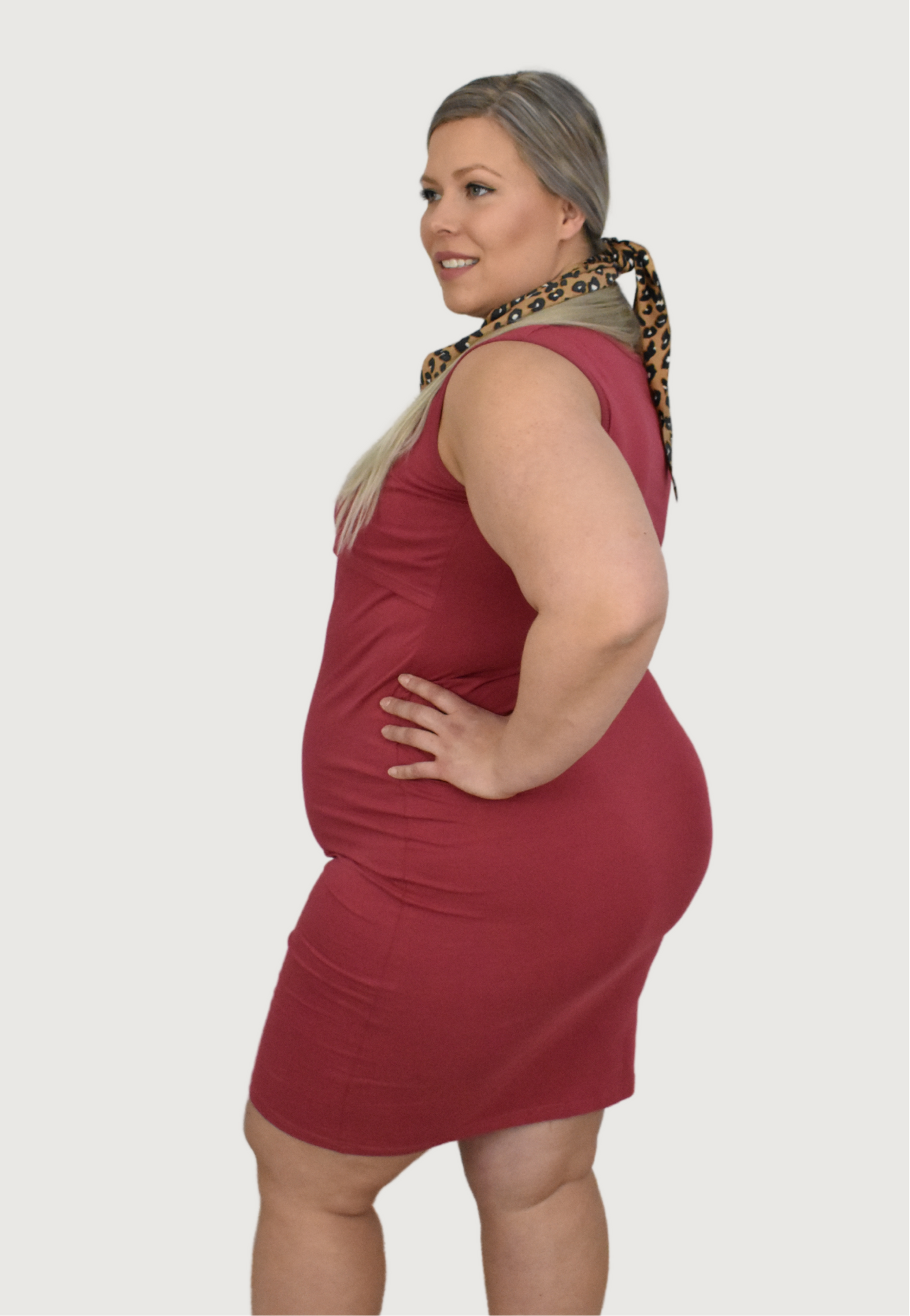 Brittany Maternity and Nursing Dress