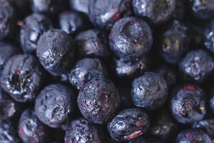 Freeze Dried Blueberries Bulk 1 KG - Regalo ShopFREEZE DRIED BULKVitalBitessku-50131974226198Freeze Dried Blueberries Bulk 1 KG
